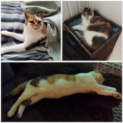 Hilde und Helga